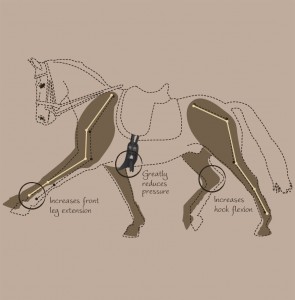 girth-flat-diagram